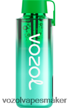Köpa VOZOL Vape - VOZOL NEON 10 000 miami mynta LT4T2J229
