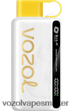 VOZOL Vape Smaker - VOZOL STAR 9000/12000 kiwi passionsfrukt guava LT4T2J25
