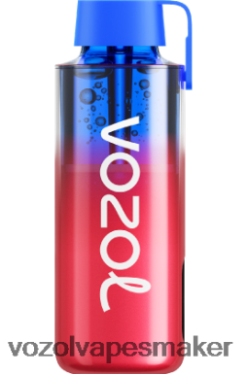 VOZOL Vape Sverige - VOZOL NEON 10 000 blåbärsis LT4T2J243