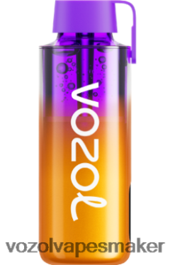 VOZOL Vape Sverige - VOZOL NEON 10 000 blandade bär LT4T2J235